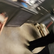 20180303_210306_001