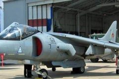 harrier